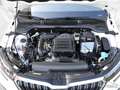 Skoda Kamiq 1.0 G-Tec Clever LED, Winter, Navi, Retrocamera Blanc - thumbnail 14