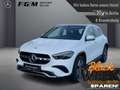 Mercedes-Benz GLA 250 4M Progressive Line Advanced Plus KeyGo Wit - thumbnail 1