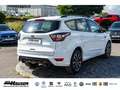 Ford Kuga 1.5 EcoBoost ST-Line 4x4 NAVI KAMERA TEMPOMAT PDC Wit - thumbnail 4