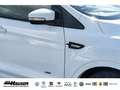 Ford Kuga 1.5 EcoBoost ST-Line 4x4 NAVI KAMERA TEMPOMAT PDC Wit - thumbnail 6