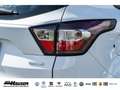 Ford Kuga 1.5 EcoBoost ST-Line 4x4 NAVI KAMERA TEMPOMAT PDC Wit - thumbnail 7