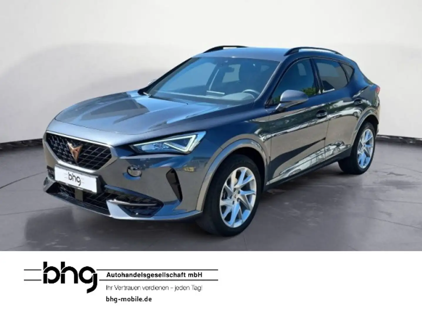CUPRA Formentor 1.5 TSI Grau - 1