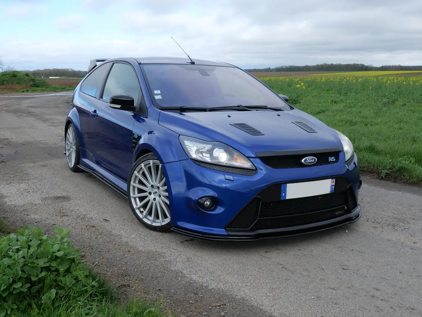 Ford Focus 2.5T - 305 RS Blue - 2
