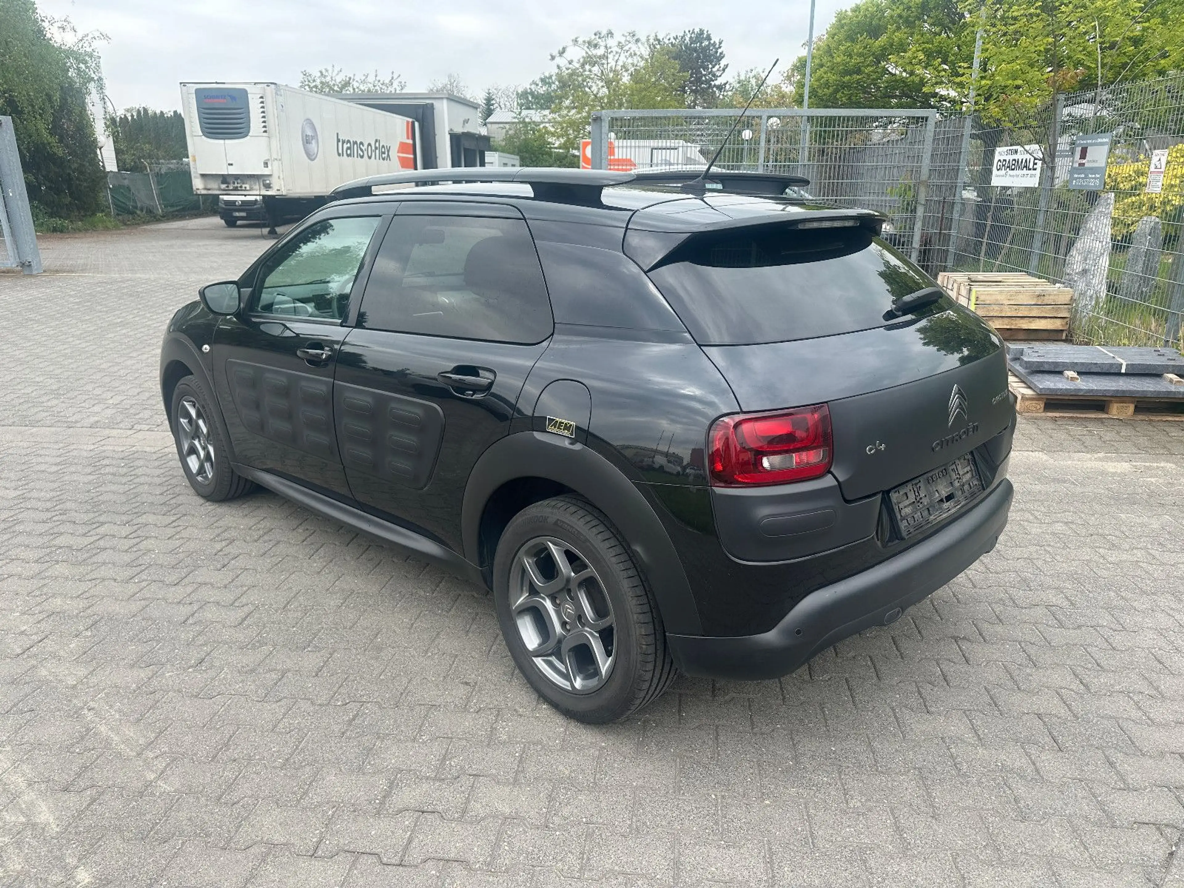 Citroen C4 Cactus Shine — photo 6