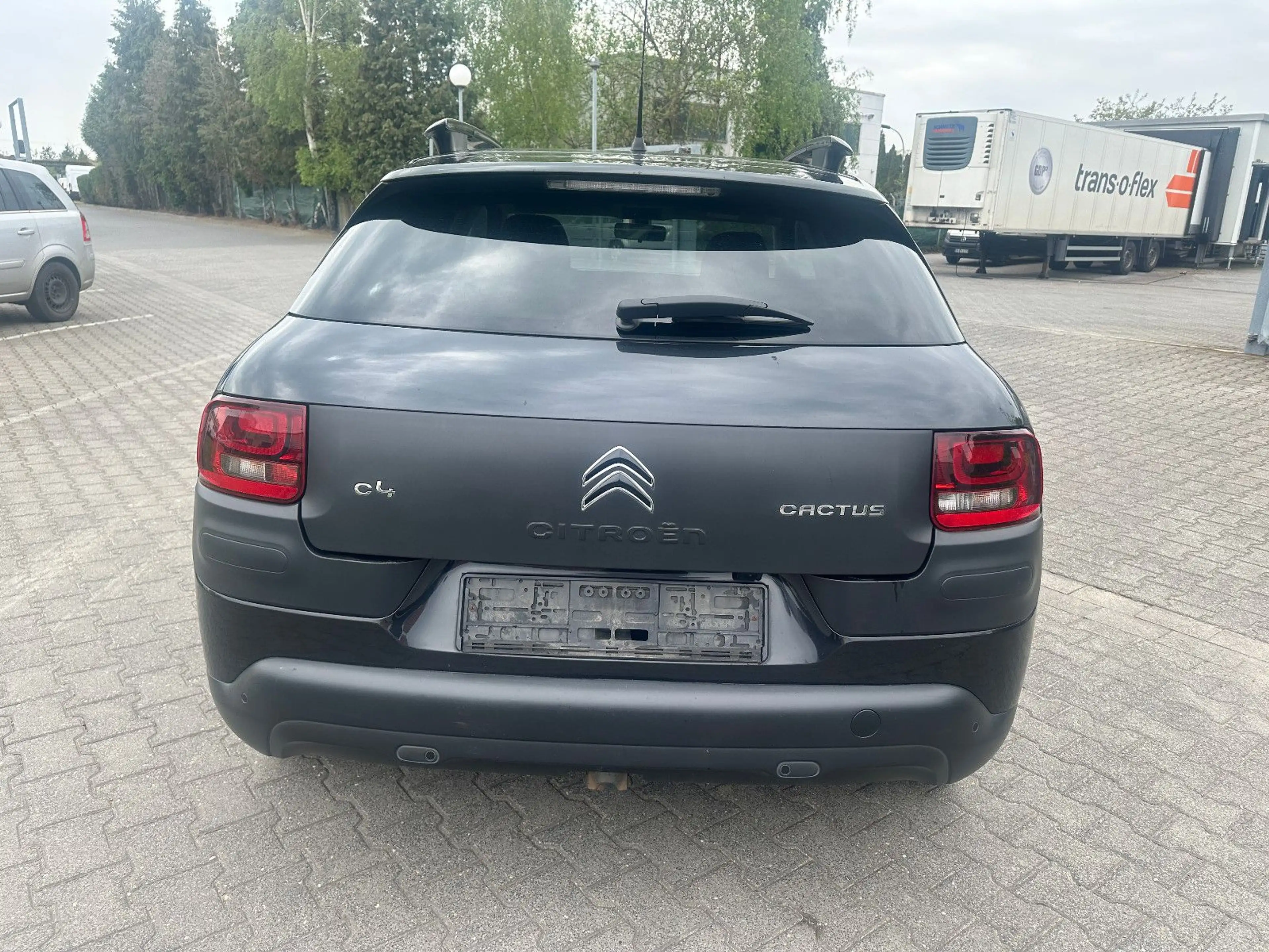 Citroen C4 Cactus Shine — photo 8