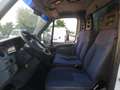 Iveco Daily 35c18 centinato Blanc - thumbnail 8