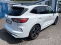 Ford Kuga ST-Line X 2.0 Diesel FordProtect 7Jahre* FESTPREIS Blanc - thumbnail 5