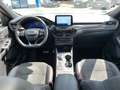 Ford Kuga ST-Line X 2.0 Diesel FordProtect 7Jahre* FESTPREIS Blanc - thumbnail 9