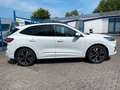 Ford Kuga ST-Line X 2.0 Diesel FordProtect 7Jahre* FESTPREIS Blanc - thumbnail 4