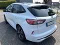 Ford Kuga ST-Line X 2.0 Diesel FordProtect 7Jahre* FESTPREIS Blanc - thumbnail 8