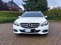 Mercedes-Benz E 220 E-Klasse T-Modell Diesel T CDI Weiß - thumbnail 2