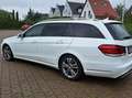 Mercedes-Benz E 220 E-Klasse T-Modell Diesel T CDI Weiß - thumbnail 5