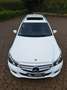 Mercedes-Benz E 220 E-Klasse T-Modell Diesel T CDI Weiß - thumbnail 4