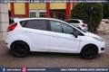 Ford Fiesta 1.0 100CV 5p Ecoboost Black & White Edition Bianco - thumbnail 5