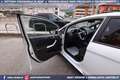 Ford Fiesta 1.0 100CV 5p Ecoboost Black & White Edition Wit - thumbnail 30
