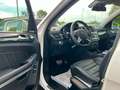 Mercedes-Benz GL 63 AMG 4MATIC-100% FULL-HARMAN-TV-7 SITZE Weiß - thumbnail 7