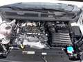Volkswagen Caddy Cargo 2.0 TDI Cool&Sound Ladeboden AHK Weiß - thumbnail 20