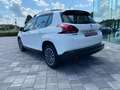 Peugeot 2008 1° serie BlueHDi 75 Active Bianco - thumbnail 5