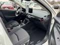 Mazda 2 1.5L e-SKYACTIV G 90ps 6MT FWD HOMURA Bianco - thumbnail 13