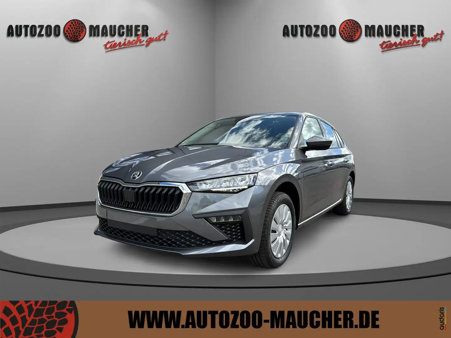 Skoda Scala Selection 1.0 TSI SHZ/PDC/APP Grau - 1