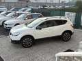 Nissan Qashqai 1.5 dci 360 Bianco - thumbnail 3