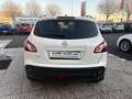 Nissan Qashqai 1.5 dci 360 Bianco - thumbnail 5