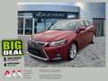 Lexus CT 200h Amazing Edition LED Paket*Sitzh.* Gris - thumbnail 1
