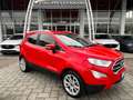 Ford EcoSport 1.0 EcoBoost 125 CV Start&Stop Titanium Rosso - thumbnail 1