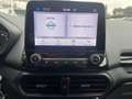 Ford EcoSport 1.0 EcoBoost 125 CV Start&Stop Titanium Rosso - thumbnail 15