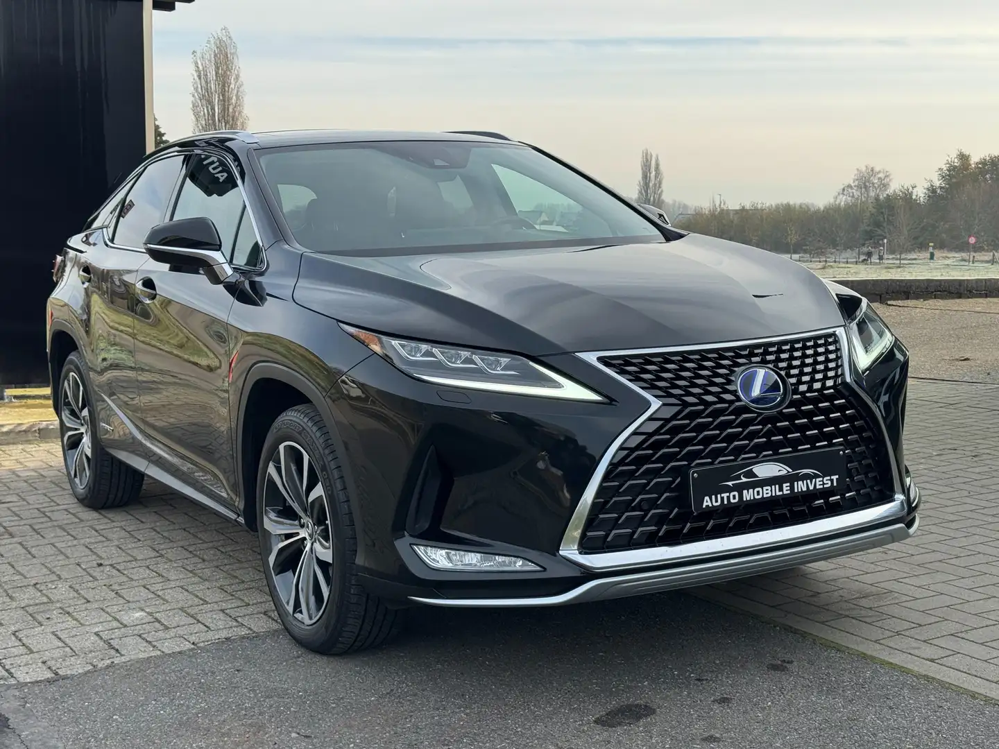 Lexus RX 450h RX 450h (hybrid) Executive Line 0483/47.20.60 Negro - 2