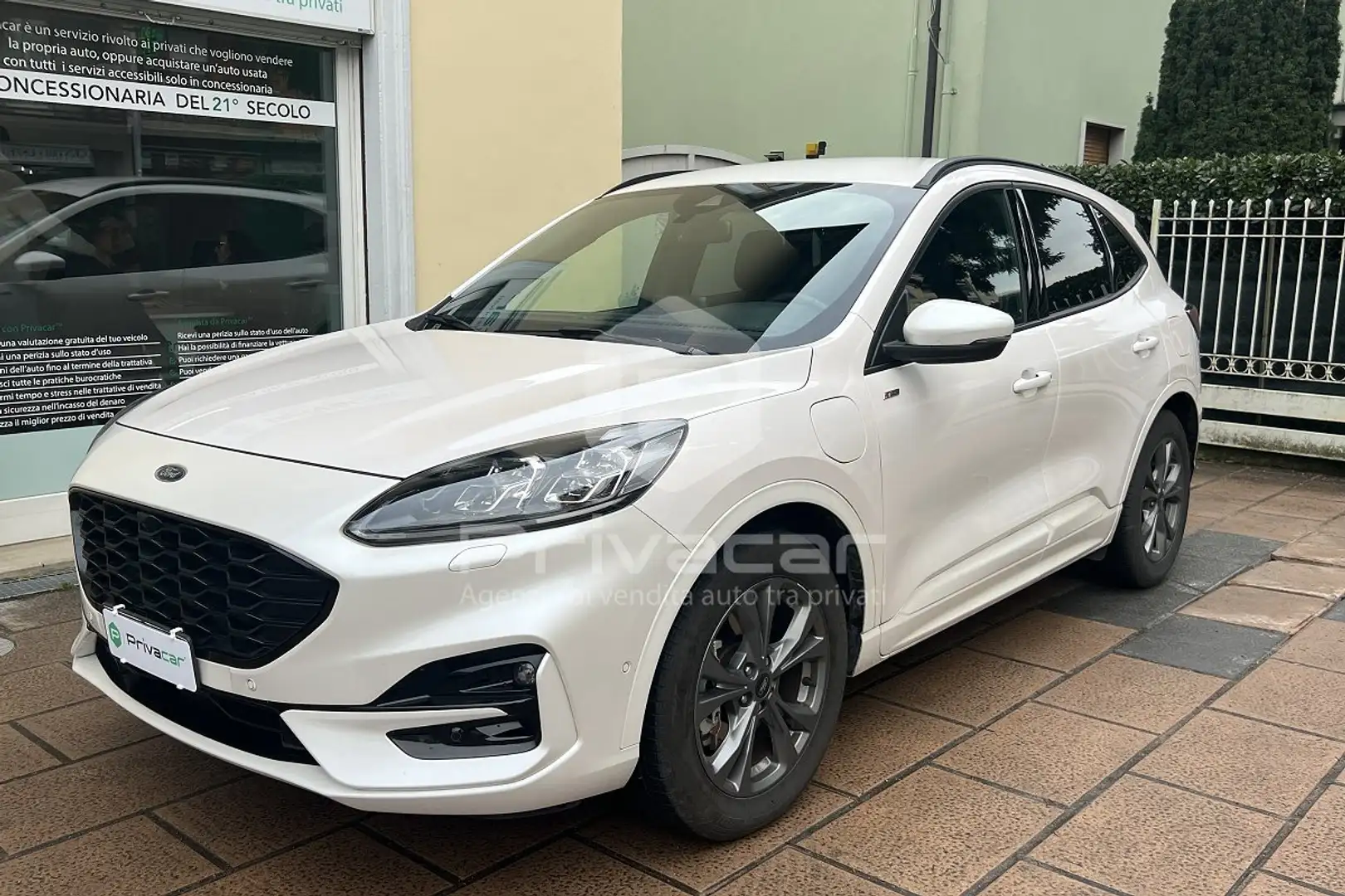 Ford Kuga Kuga 2.5 Plug In Hybrid 225 CV CVT 2WD ST-Line X Blanc - 1