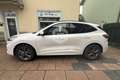 Ford Kuga Kuga 2.5 Plug In Hybrid 225 CV CVT 2WD ST-Line X Blanc - thumbnail 8