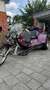 Fecht Trike MF 1 Sonderfahrzeug Violett - thumbnail 3