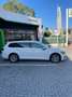 Volkswagen Passat Variant Variant 2.0 TDI SCR 122 CV EVO DSG Business White - thumbnail 4