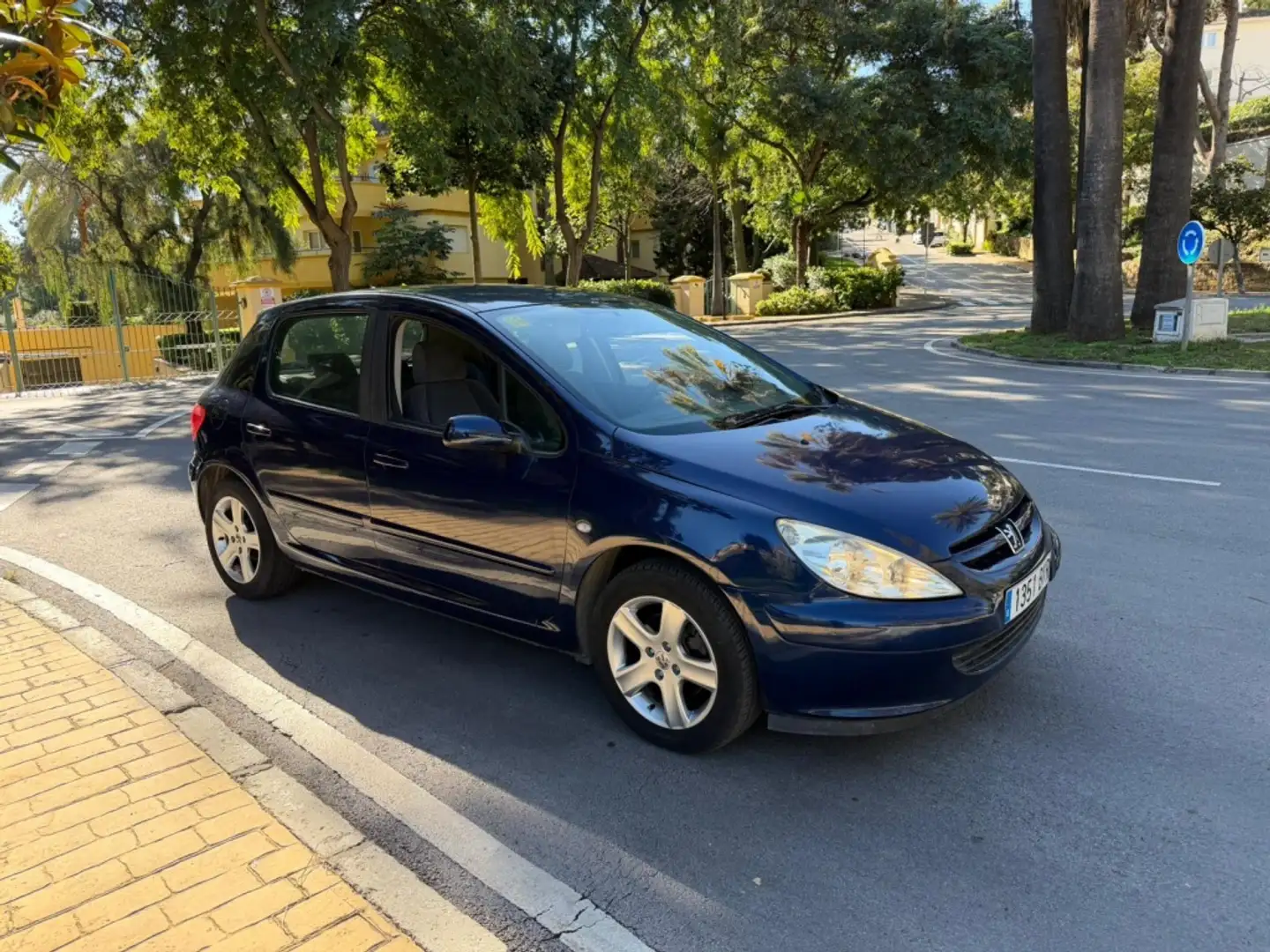 Peugeot 307 2.0HDI XR Blauw - 2