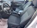 Ford C-Max C-Max II 2010 1.6 tdci Titanium 115cv dpf Bianco - thumbnail 6