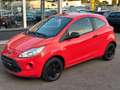 Ford Ka/Ka+ COOL SERVICE NEU/ALLWETTERREIFEN/SERVO/KLIMA Rot - thumbnail 1