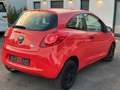 Ford Ka/Ka+ COOL SERVICE NEU/ALLWETTERREIFEN/SERVO/KLIMA Rot - thumbnail 8