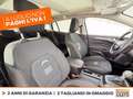 Ford Focus active sw 1.0 ecoboost h x 125cv powershift Blu/Azzurro - thumbnail 7