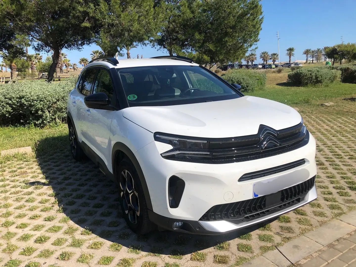 Citroen C5 Aircross C5 Aircross PureTech S Blanco - 1