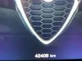 Alfa Romeo Tonale Tonale 1.5 130 CV MHEV TCT7 Edizione Speciale Bleu - thumbnail 9