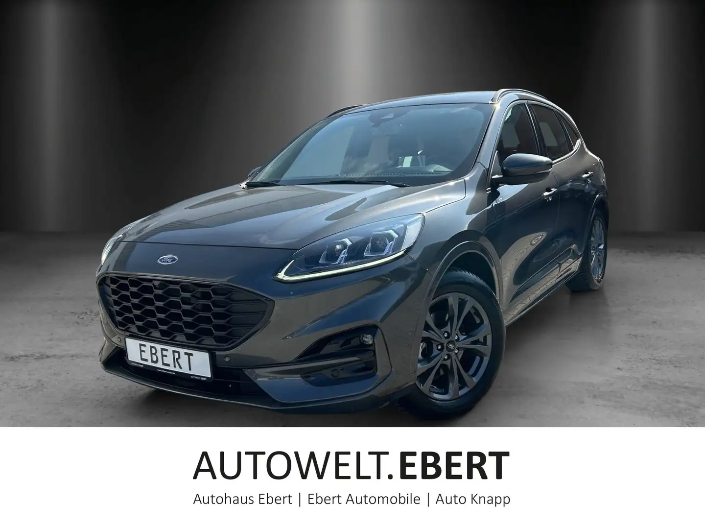 Ford Kuga 2.0 EcoBlue ST-Line Aut./LED/AHK/KAMERA/NAV Grau - 1