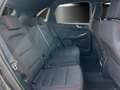 Ford Kuga 2.0 EcoBlue ST-Line Aut./LED/AHK/KAMERA/NAV Grau - thumbnail 13