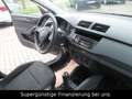 Skoda Fabia Active,KLIMA,GARANTIE,5-TÜRIG Brun - thumbnail 11