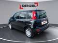 Fiat Panda /Pandina MY25 Schwarz - thumbnail 3