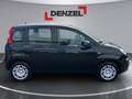 Fiat Panda /Pandina MY25 Schwarz - thumbnail 5