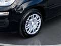Fiat Panda /Pandina MY25 Schwarz - thumbnail 8