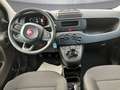 Fiat Panda /Pandina MY25 Schwarz - thumbnail 9
