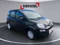 Fiat Panda /Pandina MY25 Schwarz - thumbnail 6