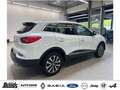 Renault Kadjar TCe 140 GPF INTENS NAVI SHZ KLIMAAUT. R-KAMERA Blanc - thumbnail 5